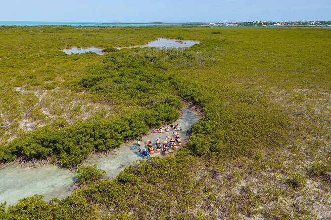 2 Hours Clear Kayaking Activity on Mangrove Cay - Key Highlights You’ll Actually Care About