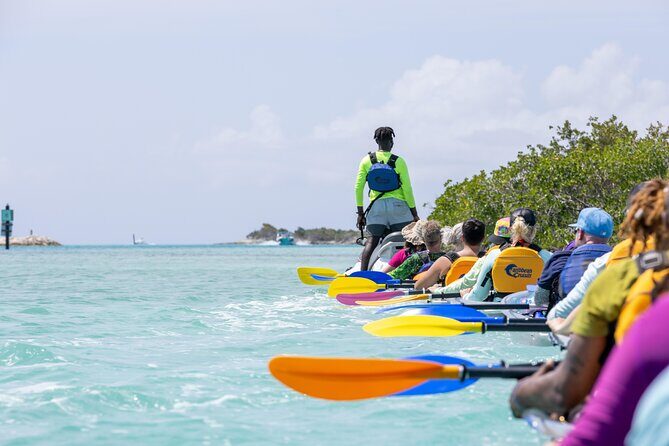 2 Hours Clear Kayaking Activity on Mangrove Cay - Safety, Kayak Conditions, and the Moment It Gets Hairy