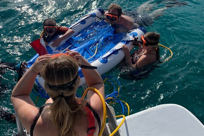 3HR Snuba, shipwreck and Iguana island tour - What makes this tour work so well