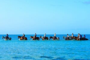 Group Beach and Ocean Horseback Adventure in Providenciales - The Beach Portion: Views That Don’t Need a Hike
