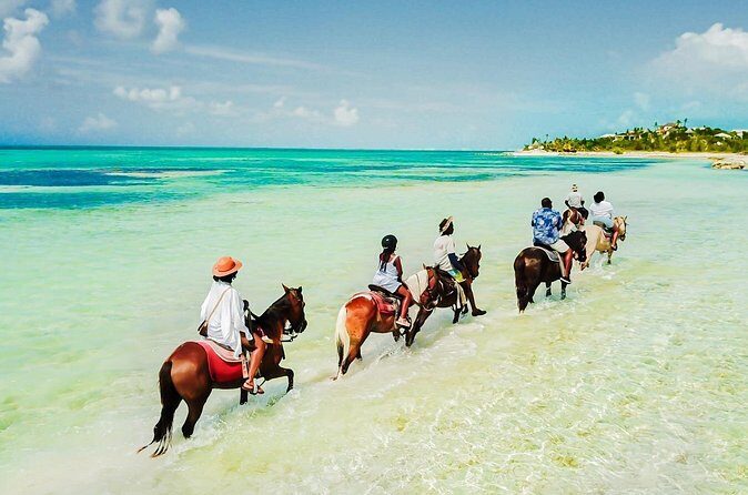 Group Beach and Ocean Horseback Adventure in Providenciales - The Water Part: Wading In the Ocean from the Horse’s Back