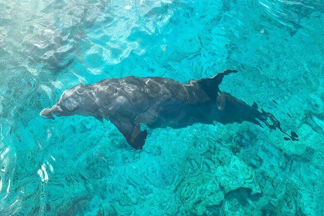 Half Day Snorkeling, Sightseeing & Island Hopping Private Charter (Afternoon) - How the Captain Experience Changes the Day