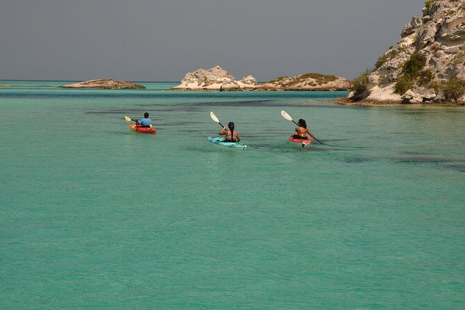 Kayak Eco Tour - Why Turks and Caicos mangroves are such a good kayak habitat