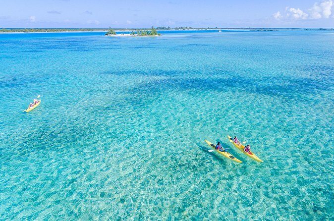 Kayak Eco Tour - Should you book Kayak Eco Tour with Big Blue Collective?