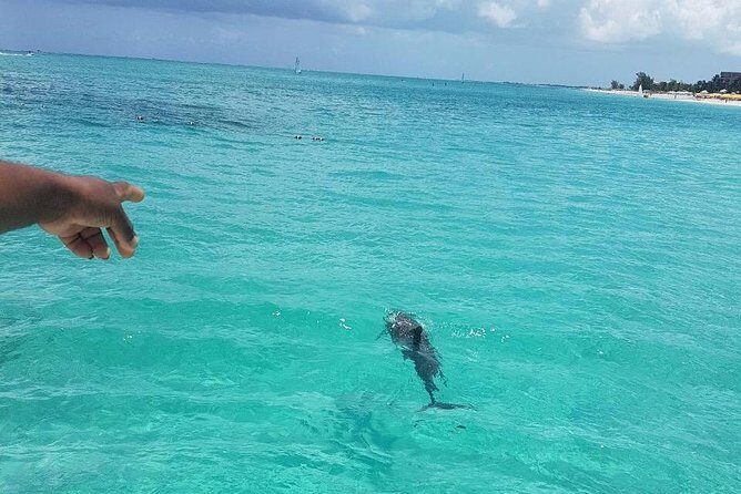 Key to the Sea Parasailing- Private Charter - What you’ll do onboard: snacks, crew energy, and photo help