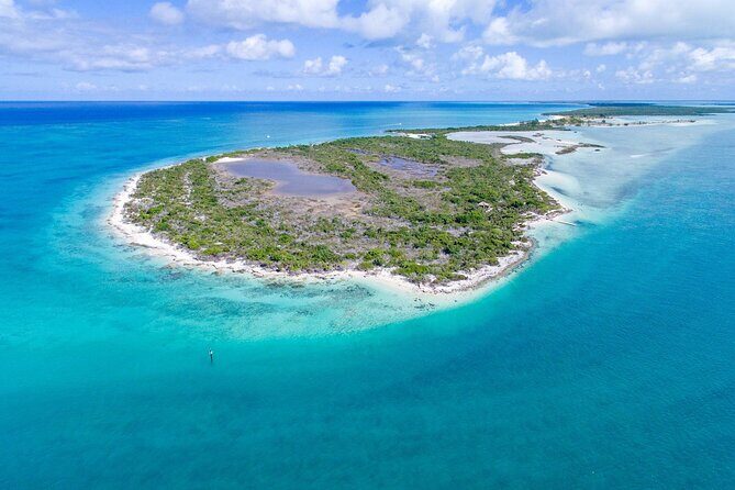 Mangrove Cay and Iguana Island Tours - Key Highlights to Know Before You Go
