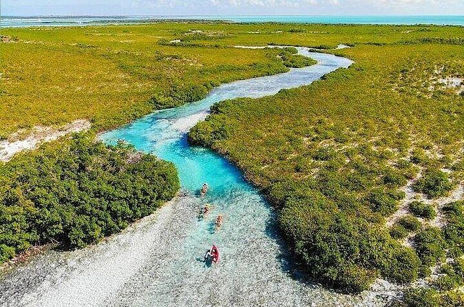 Mangrove Cay Tour - The guides: what you’re paying for beyond the animals