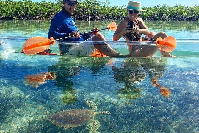Mangrove Cay Tour - Price and value: is $130 for 2 hours a fair deal?