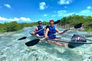 Mangrove & Iguana Clear Kayak Tour - Route basics: towing, then paddling in the calmest zones