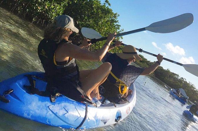Mangroves Kayak Tour - Who this tour is best for