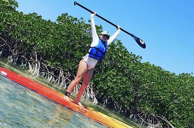 Mangroves Stand-Up Paddleboard Tour - Smart Packing and On-Water Comfort Tips
