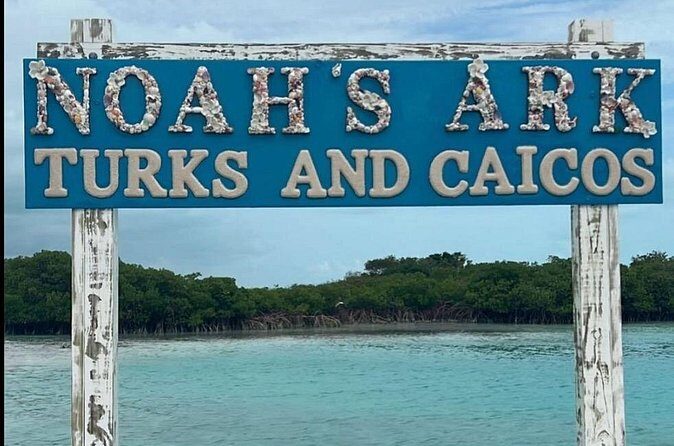 Noahs Ark Catamaran Trip - Boat experience: Island Queen catamaran practicalities