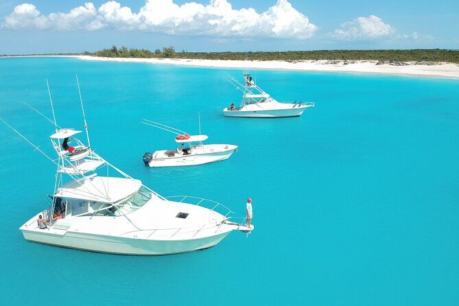 Private 1/2 Day Afternoon Charter Deep Sea Fishing on Wahooter's - What You Might Catch: Summer vs Winter Species in Turks and Caicos