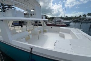 Private Boat Tour with Snorkeling and Beach BBQ - Little Water Cay and Rock Iguanas: Boardwalks, Sand, and Respecting Wildlife