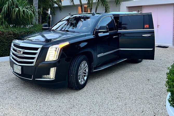Private Luxury Airport Transportation RoundTrip - Arrival leg: getting picked up without the curb chaos