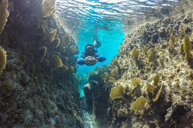 Snorkel Eco Tour - The 4-hour rhythm: why this tour feels efficient