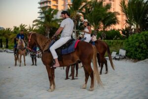 Spectacular Private Beach & Ocean Ride in Providenciales - The 1-Hour Ride: Beach Trail, Then Water