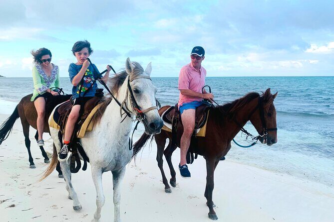 Sunset Horse Ride Experience - The ride: coastline trot, shallow water up to 1.5 meters, and photo moments